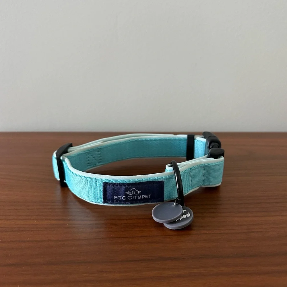 Fog City Pet Light Blue Daily Wear Dog Collar